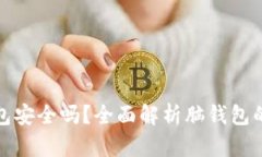 比特币脑钱包安全吗？全