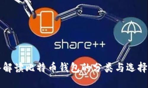 深入解读比特币钱包的分类与选择指南